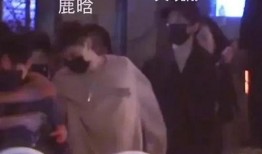 演艺圈最新hiv爆料视频,真相与误解交织